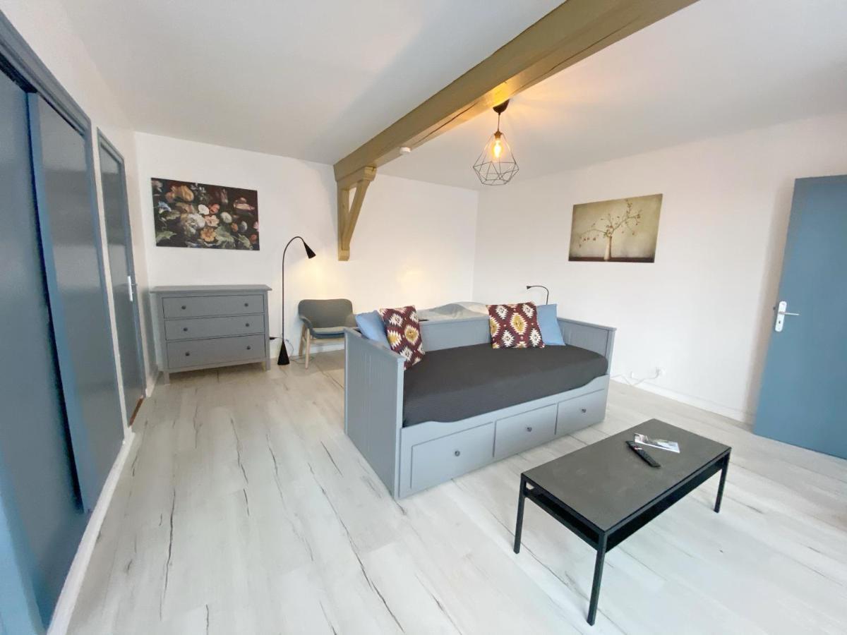 015 Chic & Cosy Studio 41M2 Hypercentre Wifi Smart Tv Netflix Saint-Etienne  Exteriér fotografie