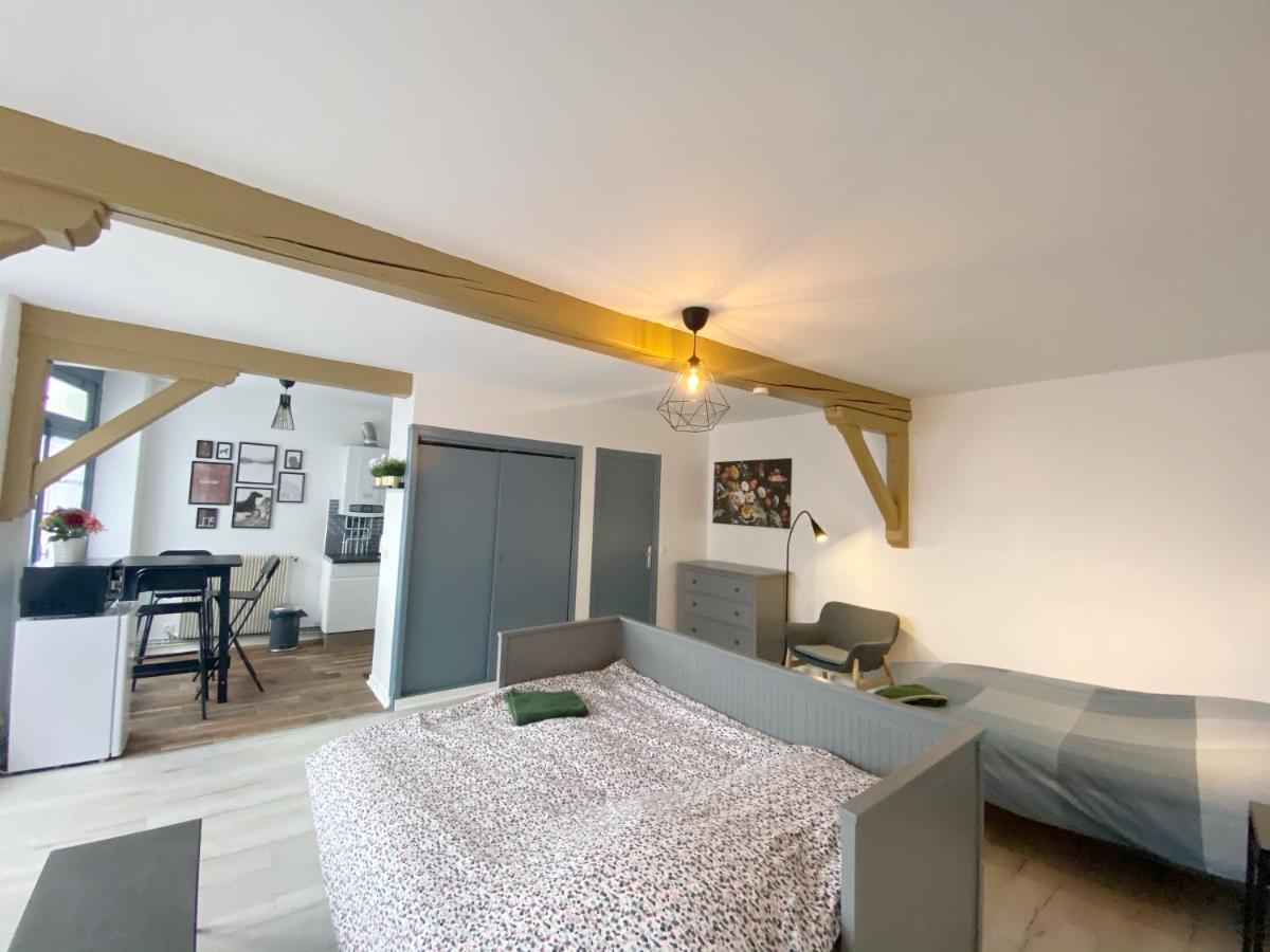015 Chic & Cosy Studio 41M2 Hypercentre Wifi Smart Tv Netflix Saint-Etienne  Exteriér fotografie
