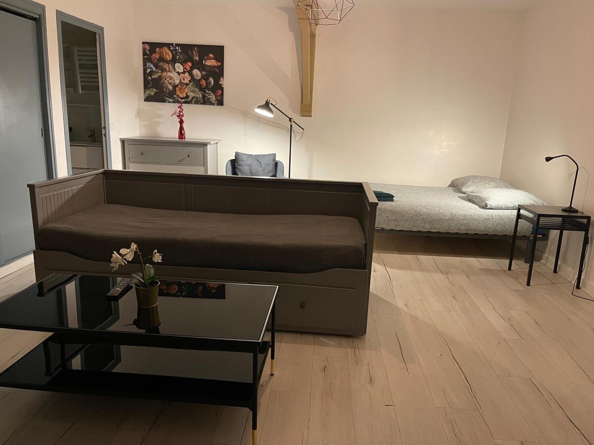 015 Chic & Cosy Studio 41M2 Hypercentre Wifi Smart Tv Netflix Saint-Etienne  Exteriér fotografie